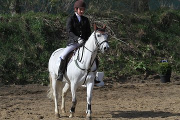 Bild 1136 - WBO-Turnier am 9.4.11